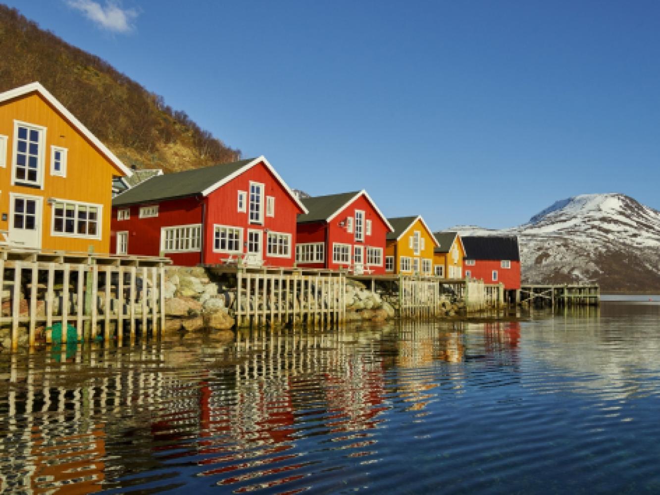 Lauklines på Kvaløya utenfor Tromsø