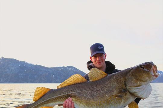 Man holding a big cod on a fishing trip outside of Tromsø