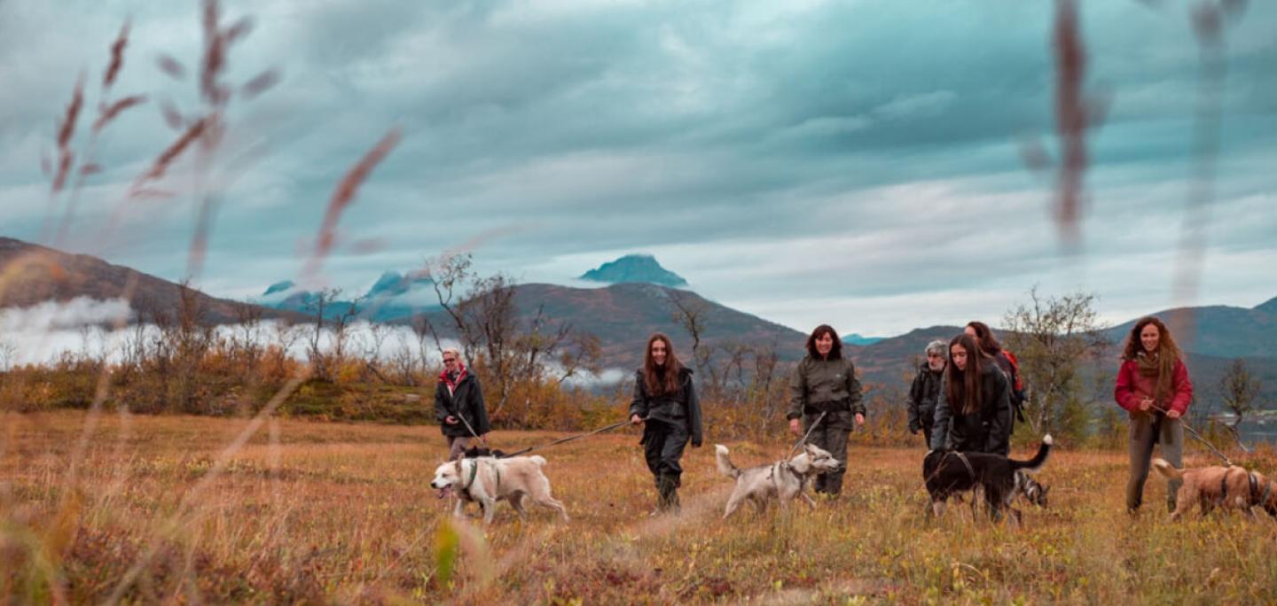 walk with dogs Tromsø Villmarkssenter